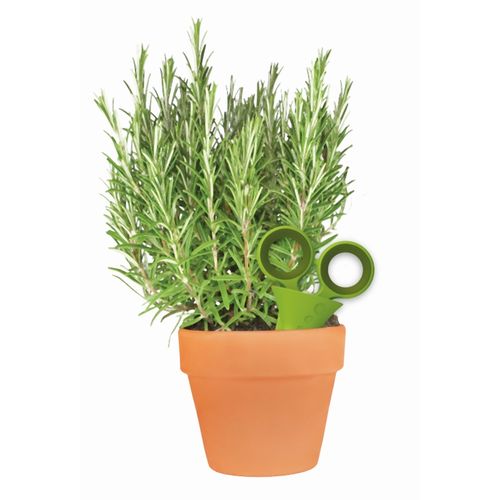 Love Herbs - Tijeras para hierbas aromáticas